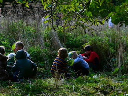 wilde woud 2 speelwildernis speelwildernis springmuis