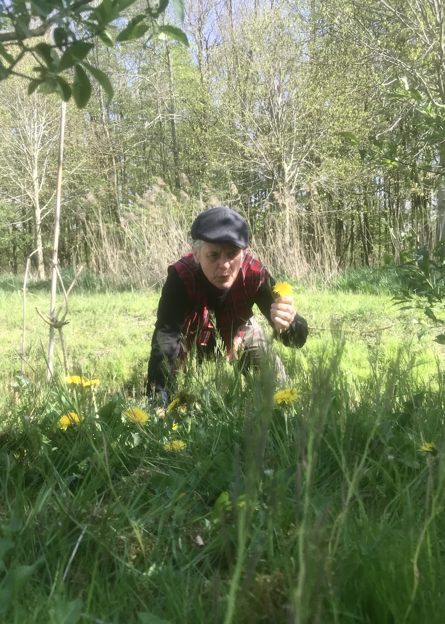 belevingsroute Oosterwolde