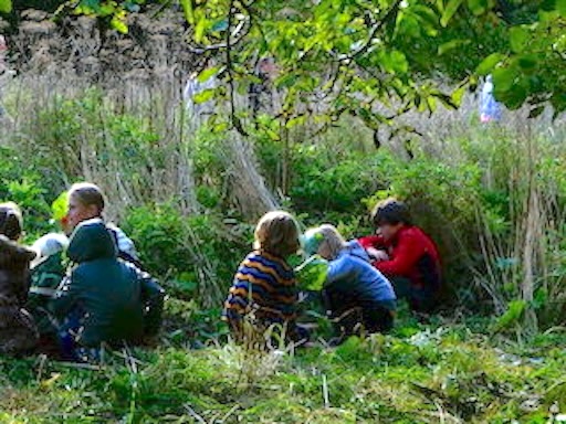 speelwildernis springmuis